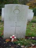 image of grave number 213111